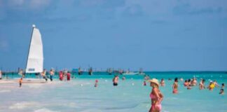 Nueva aerolínea de Barceló tendrá su base en República Dominicana