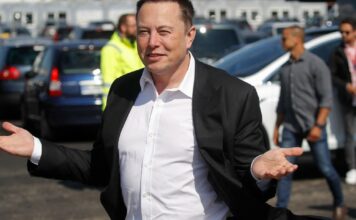 Estados Unidos: Por qué los gatos pueden ser un “problema” para Elon Musk