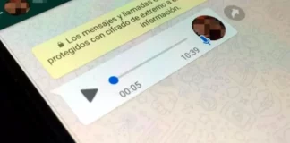 WhatsApp: cómo activar el bot que permite transcribir los audios a texto