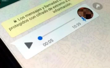 WhatsApp: cómo activar el bot que permite transcribir los audios a texto
